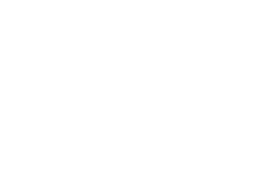 VIVA PLAZA